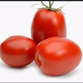 Tomate saladete
